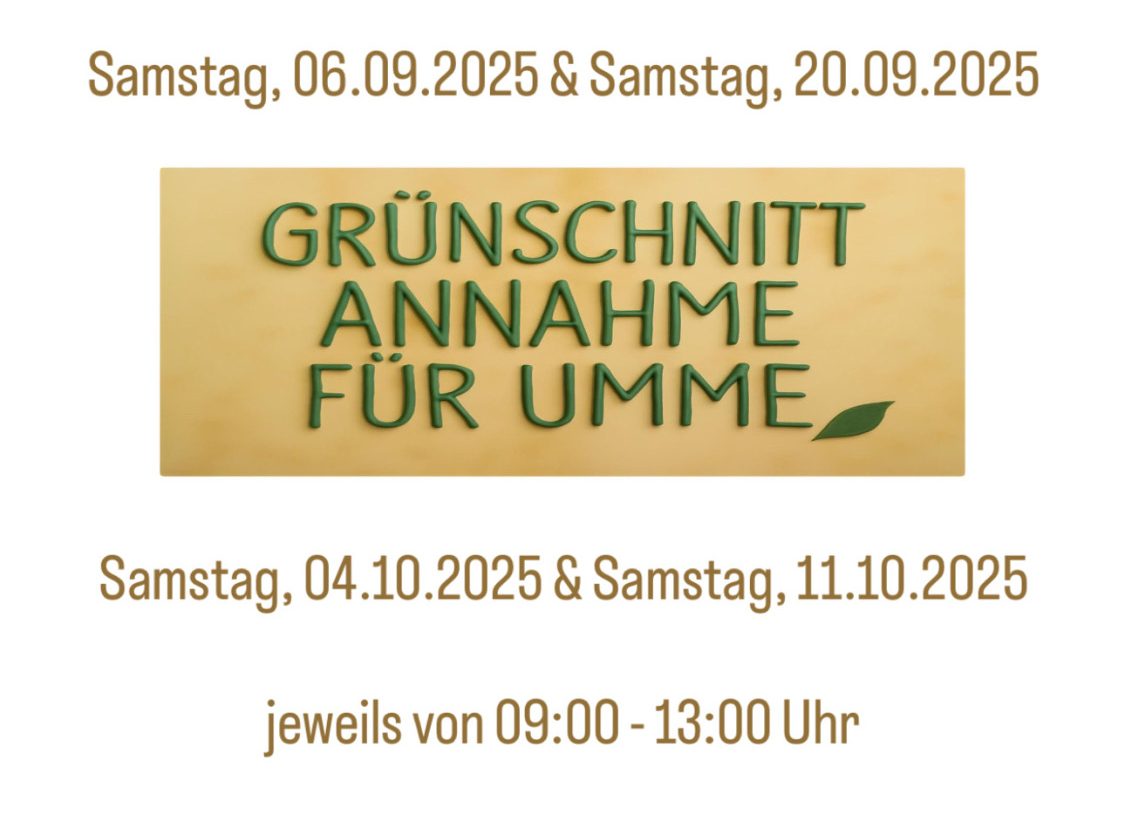 Containerservice im Jerichower Land - MAS GmbH Körbelitz